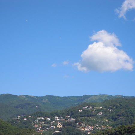 Genovese Villa Elena Appartamenti ヴァラッツェ エクステリア 写真